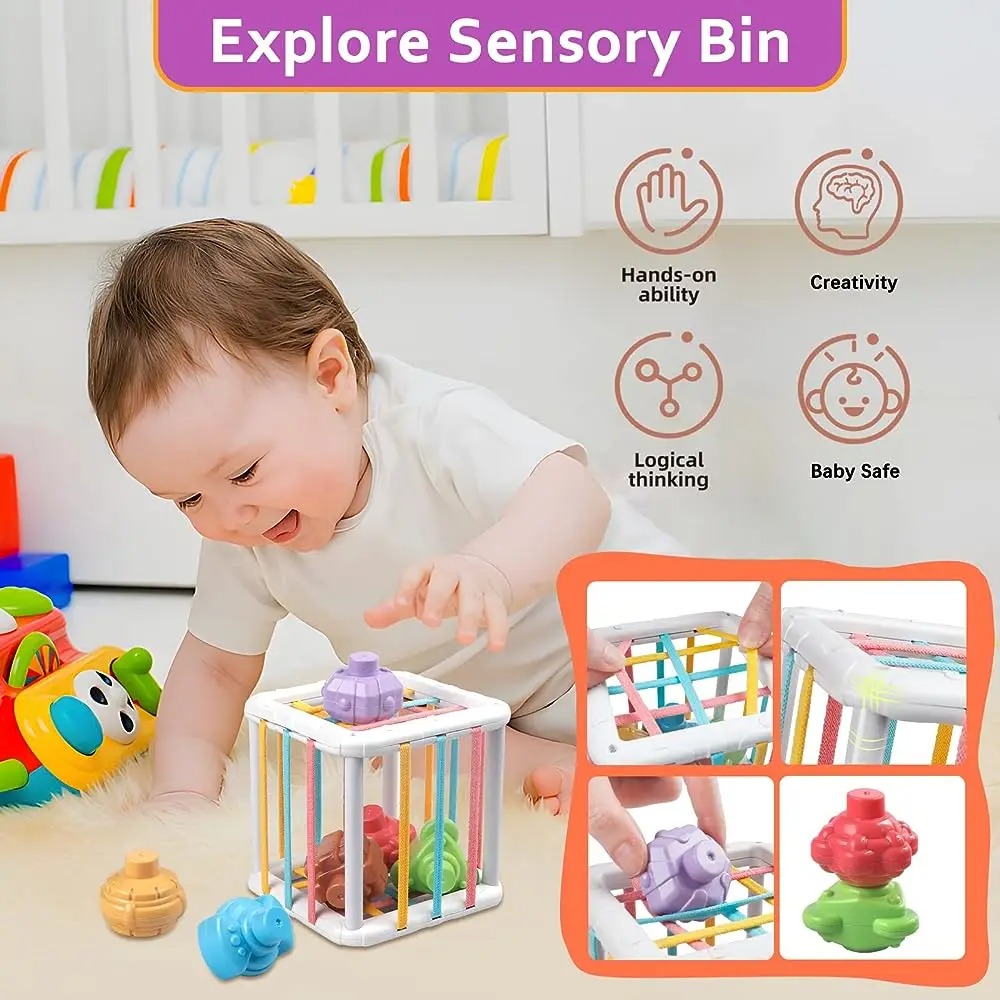 Rainbow Colorful Montessori Sh - Baby Products Toys review and price