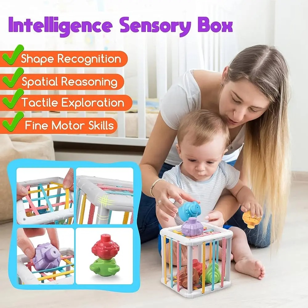 Rainbow Colorful Montessori Sh - Baby Products Toys review and price